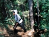 little-riding-hood-and-wolf-72dpi