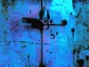 urban-oceans