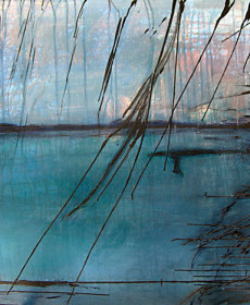 rose m barrows - night gleam